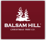 Click to Open Balsam Hill Store